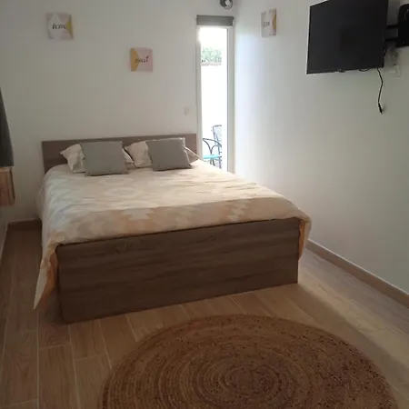 Renaissance 2 4 *